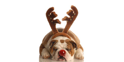 Athletics Alberta Holiday Hours